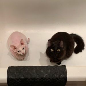 Meet your Posher, Amy